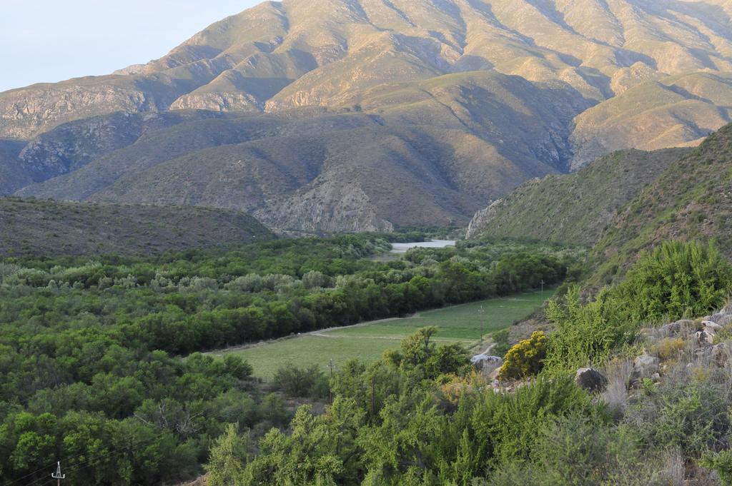 Matjiesvlei Guestfarm Villa Calitzdorp Luaran gambar
